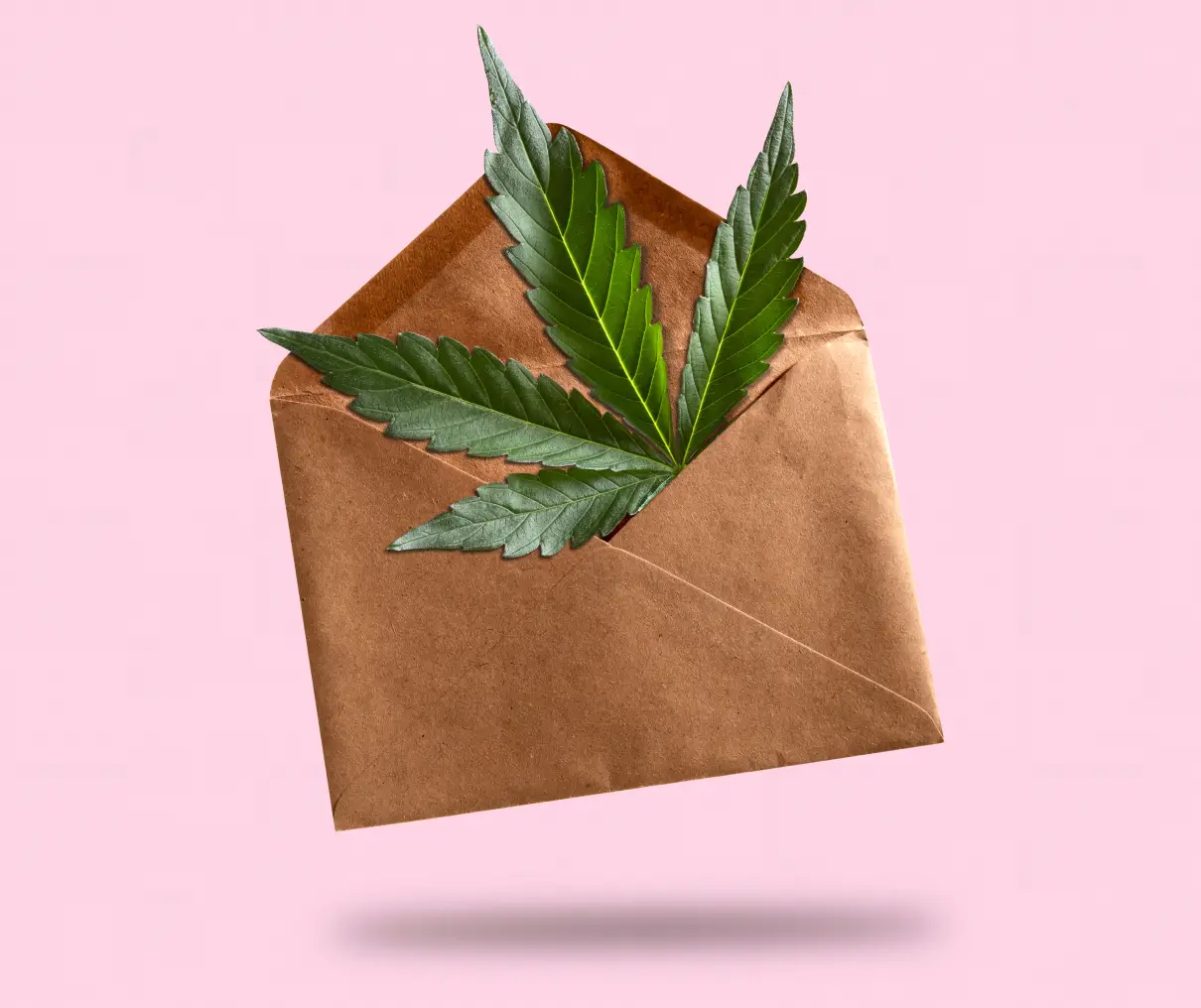 Brown envelope with green leaf inside